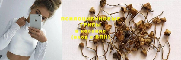 спайс Алзамай