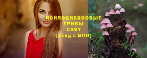 спайс Алзамай